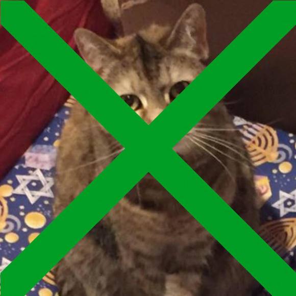 Meet your Posher, Marci - Picture 1 of 1